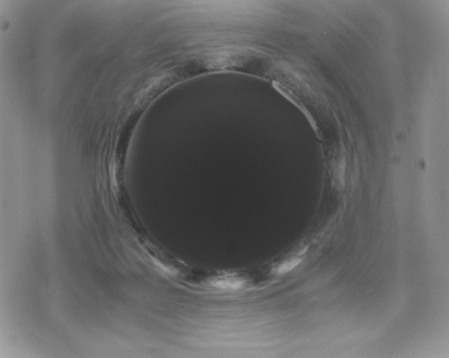 X0000071900219200607071115