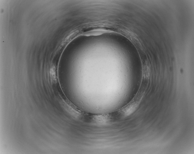 X0000071900238200607071114