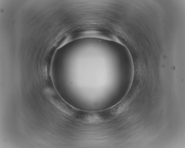 X0000071900262200607071114
