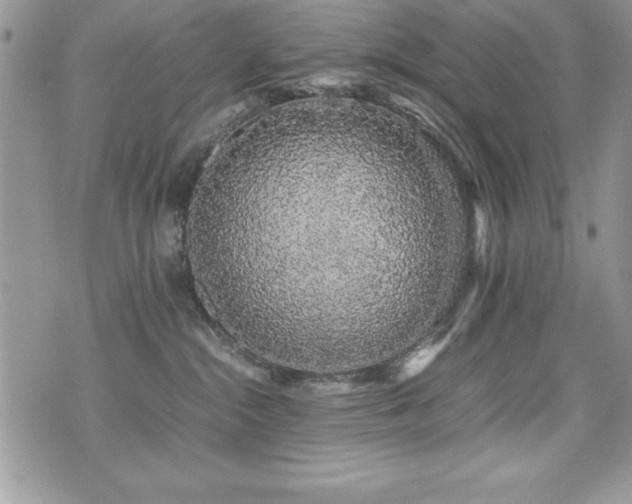 X0000071900284200607071114