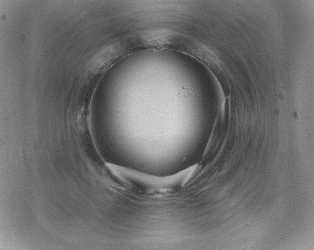 X0000071900364200607071112