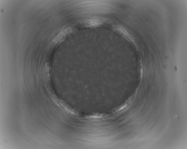 X0000071900366200607071112