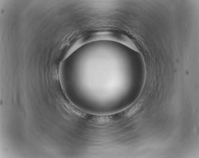 X0000071900384200607071113