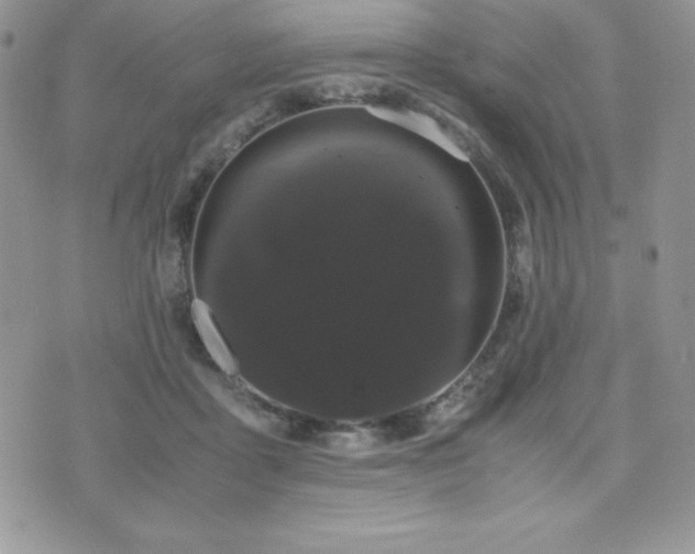 X0000071900411200607071112