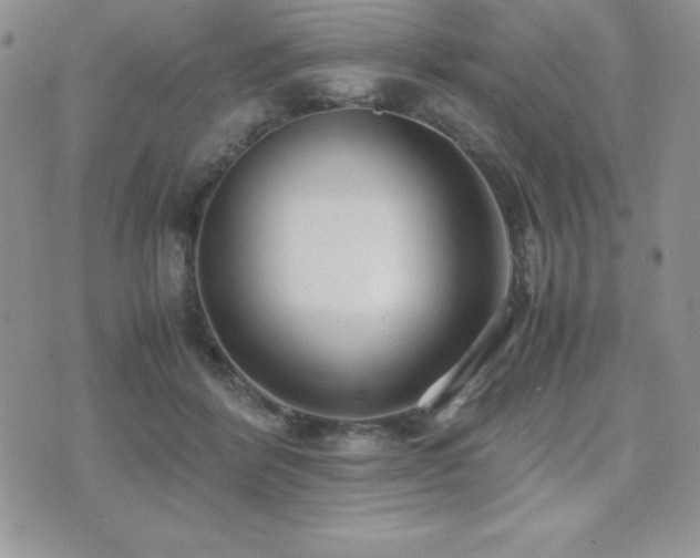 X0000071900412200607071112