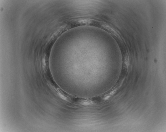 X0000071900424200607071111