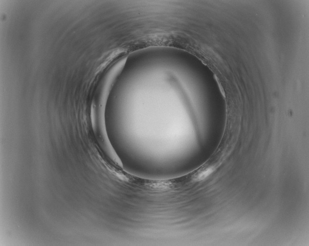 X0000071900432200607071111