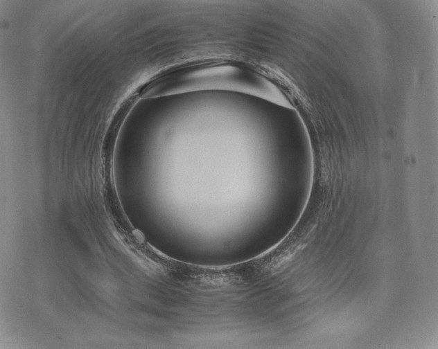 X0000071900439200607071111