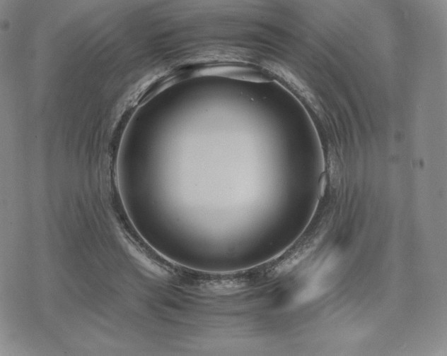 X0000071900445200607071111