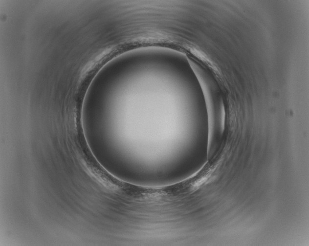 X0000071900446200607071111