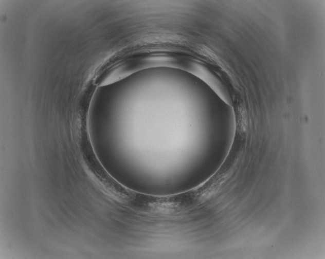 X0000071900448200607071111