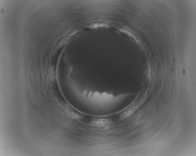 X0000071900467200607071111