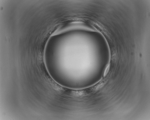 X0000071900469200607071111