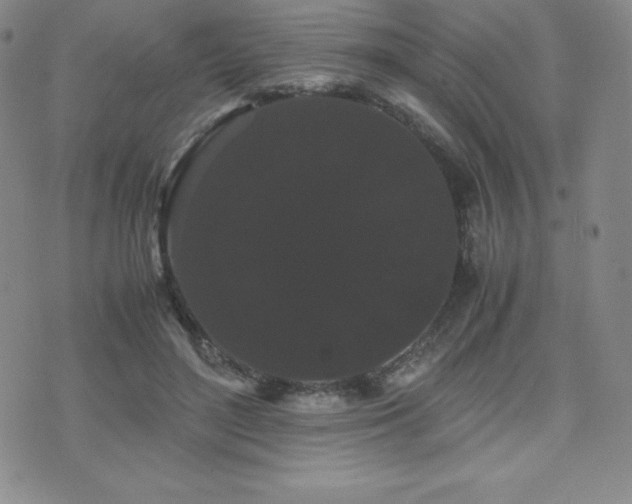 X0000071900500200607071110
