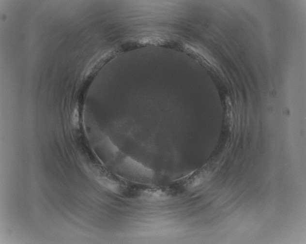 X0000071900502200607071110