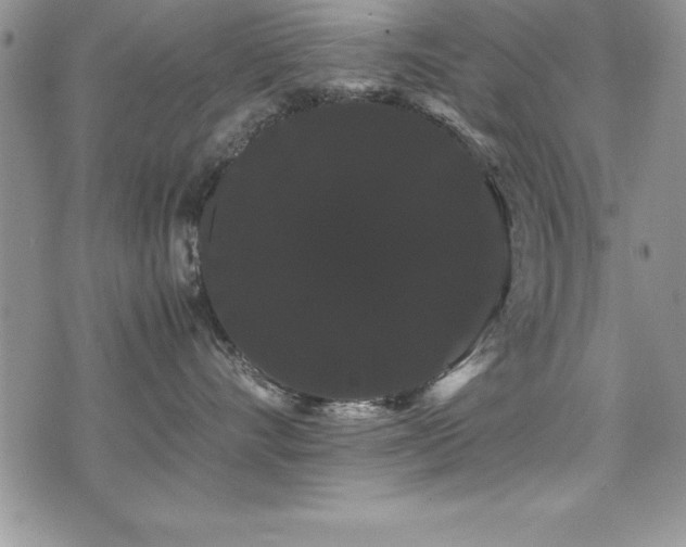 X0000071900528200607071110