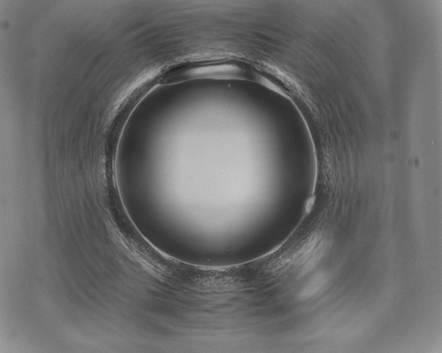 X0000071900535200607071109