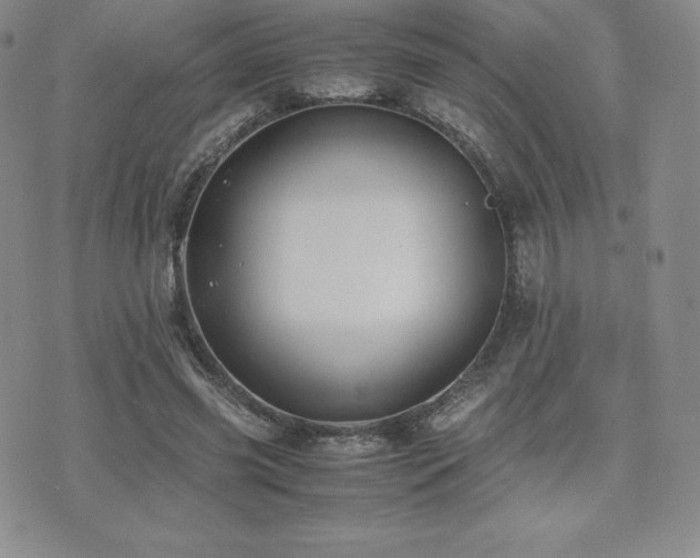 X0000071900541200607071109