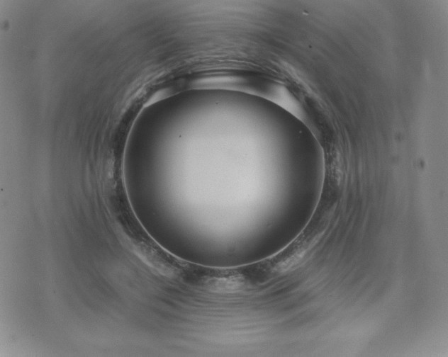 X0000071900548200607071109