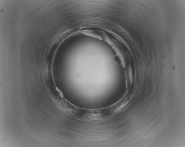 X0000071900552200607071109