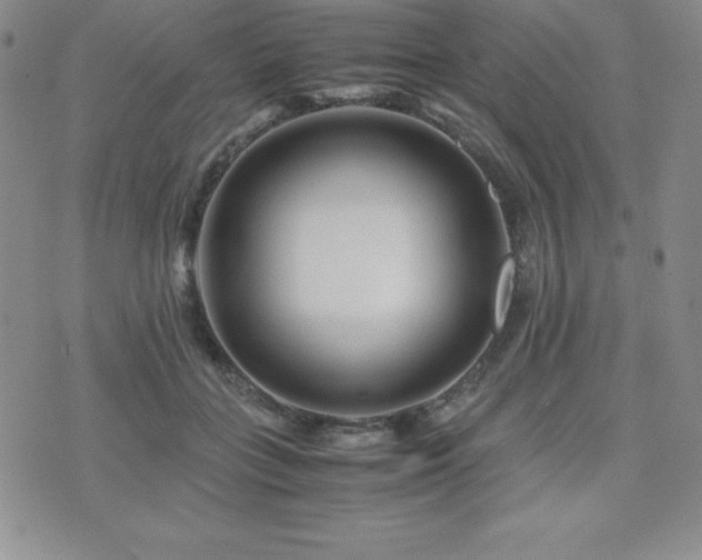 X0000071900555200607071109