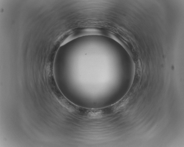X0000071900560200607071109