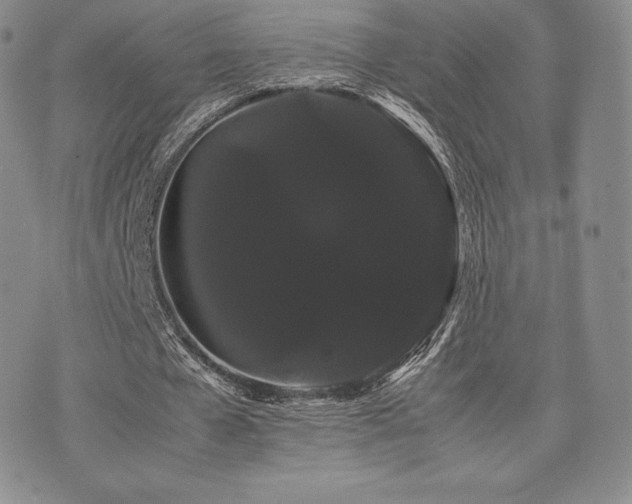 X0000071900577200607071109