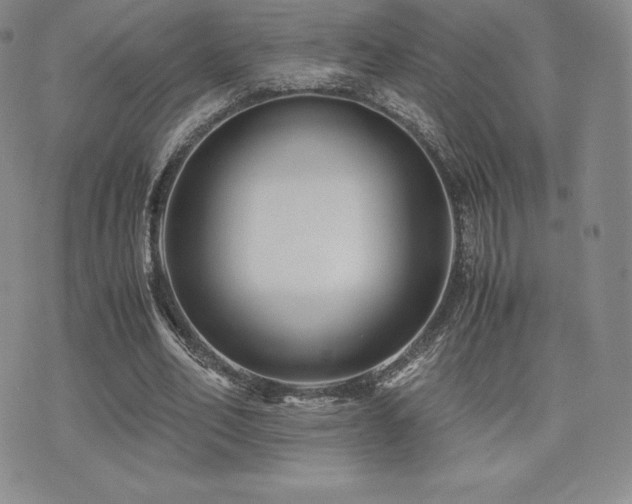 X0000071900582200607071109