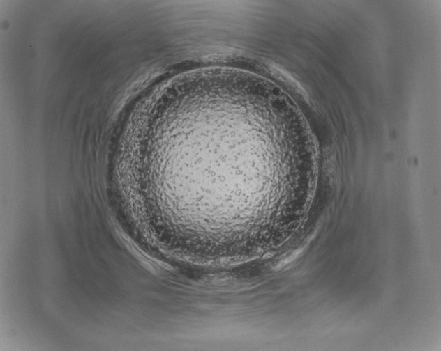 X0000071900589200607071109