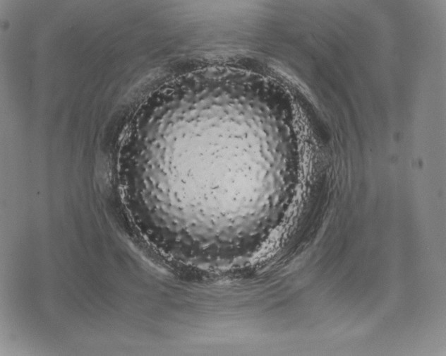 X0000071900593200607071109