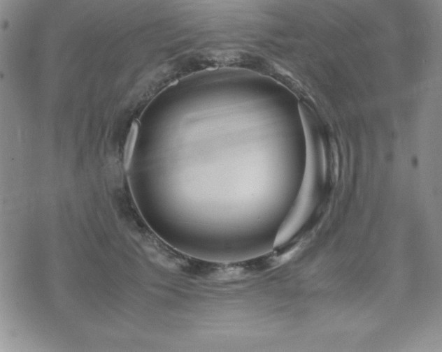 X0000071900609200607071108