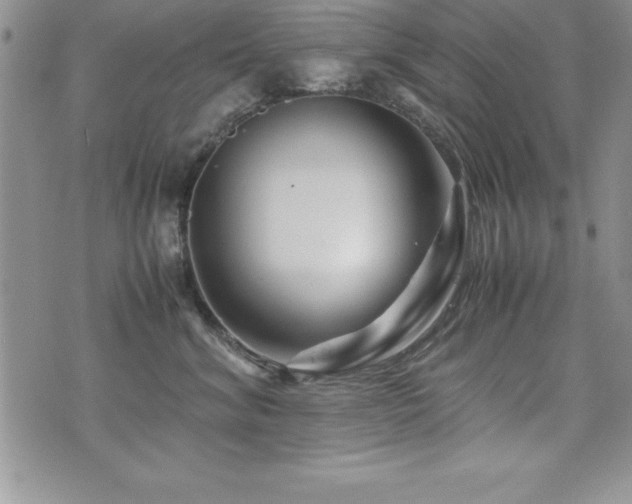 X0000071900620200607071108