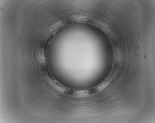 X0000071900622200607071108