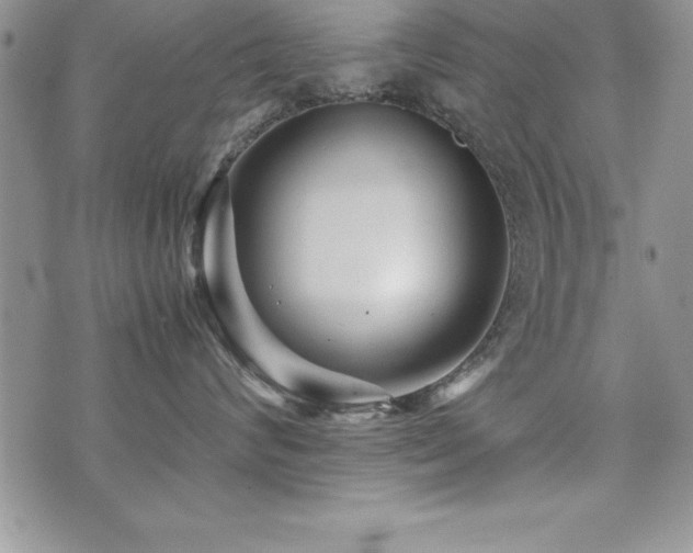X0000071900624200607071108