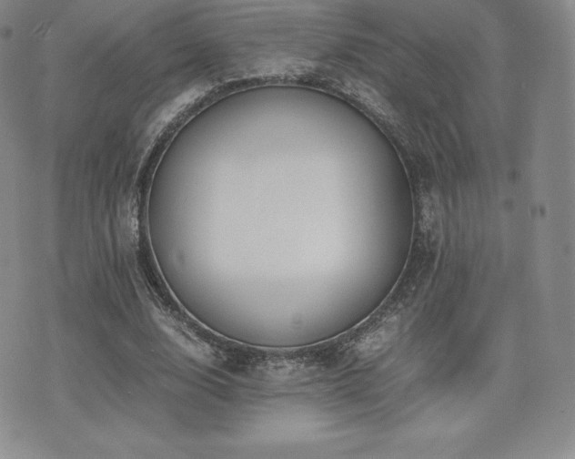 X0000071900632200607071107
