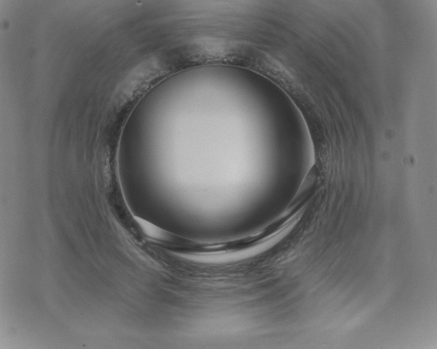 X0000071900642200607071108