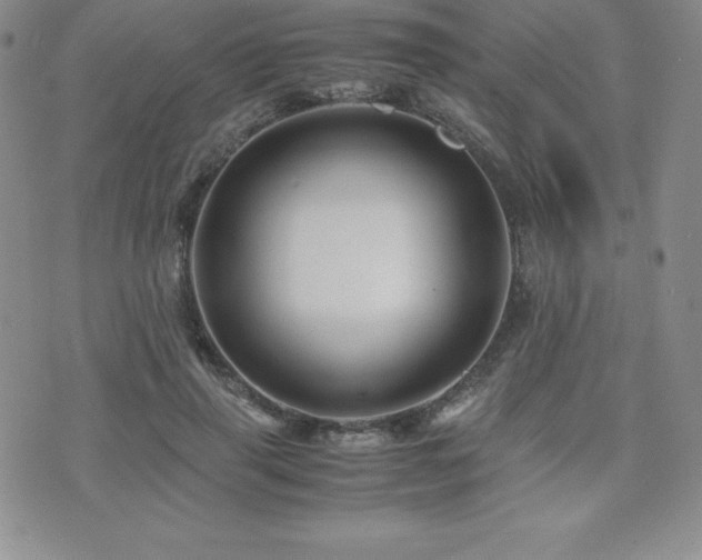 X0000071900645200607071108