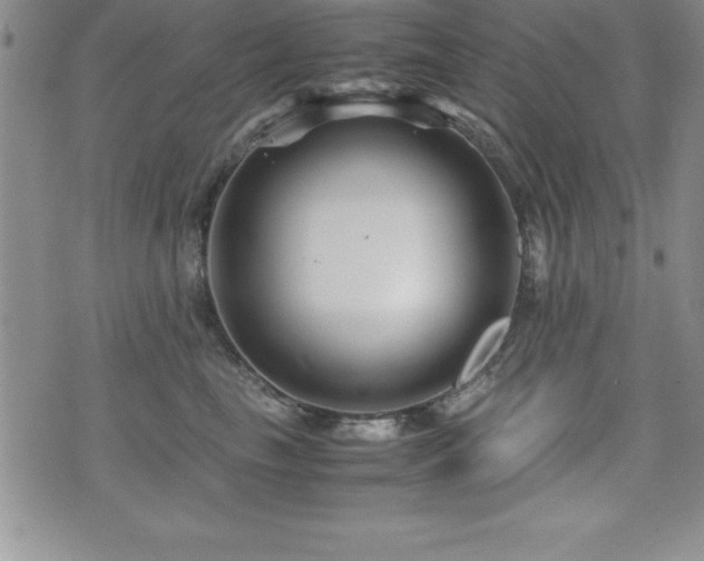 X0000071900665200607071108
