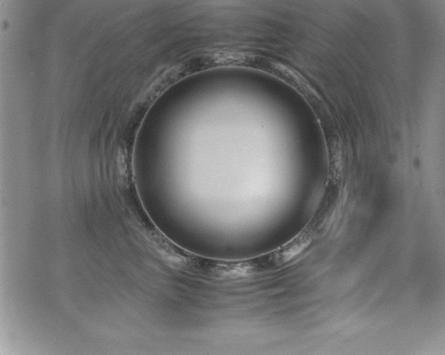 X0000071900667200607071108