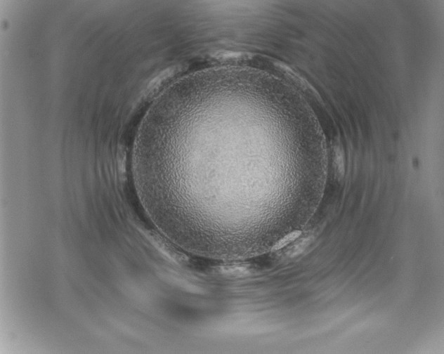 X0000071900668200607071108