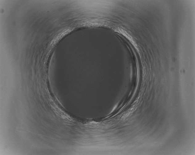 X0000071900673200607071107