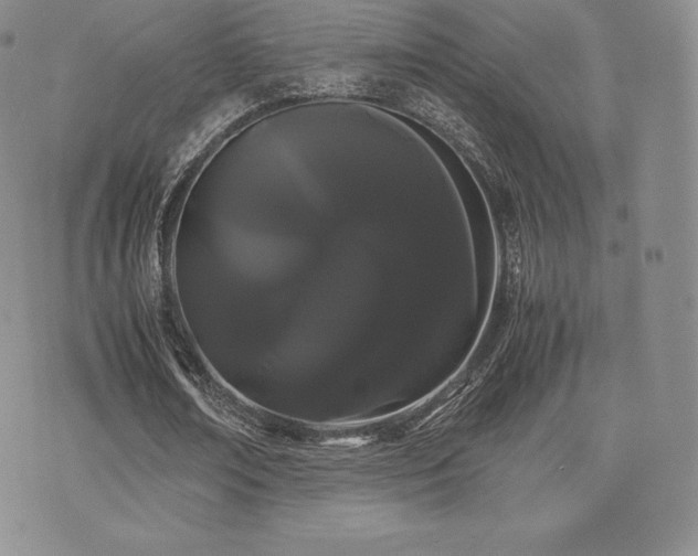 X0000071900674200607071107