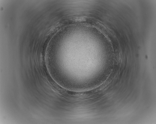X0000071900704200607071107