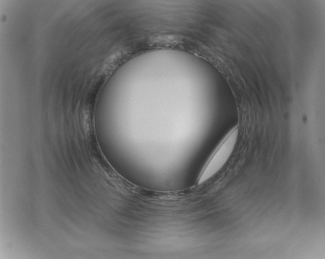 X0000071900708200607071107