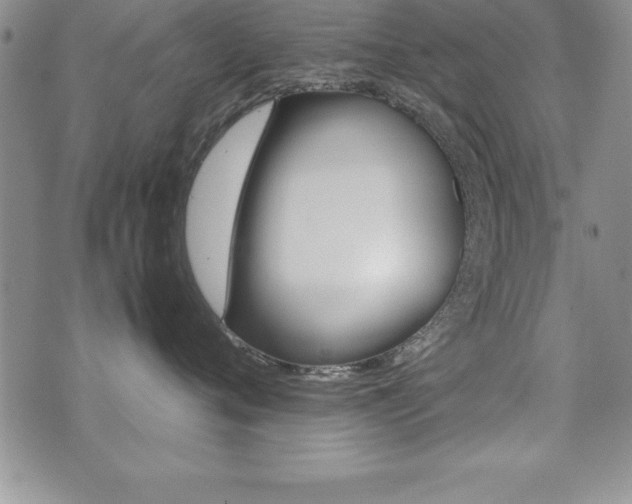 X0000071900720200607071107