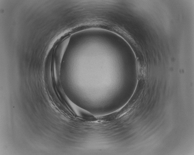X0000071900724200607071106