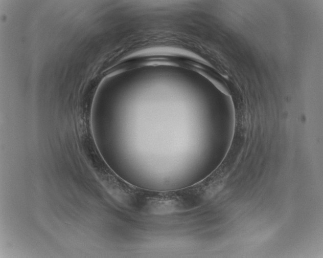 X0000071900743200607071106
