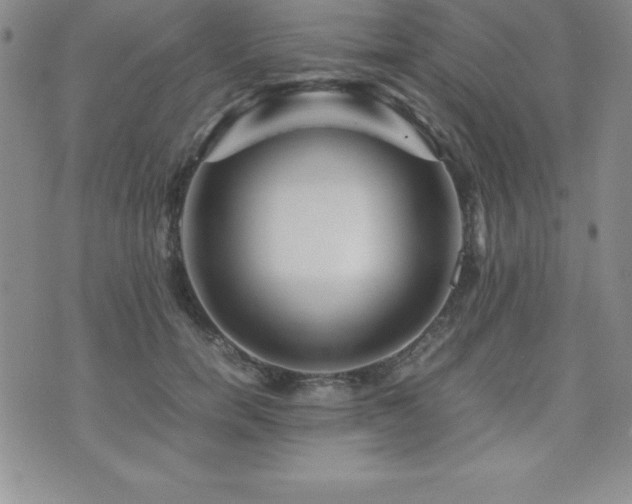 X0000071900750200607071106