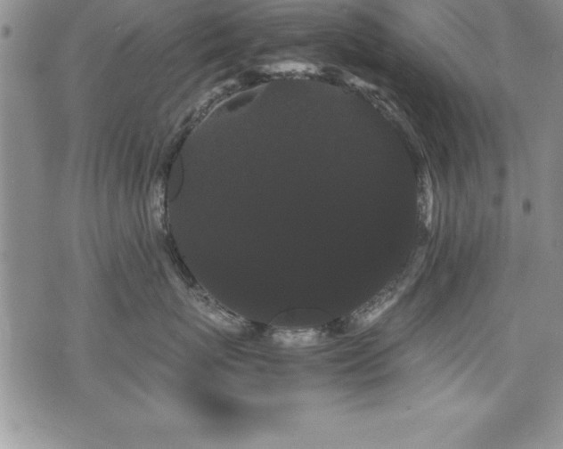 X0000071900767200607071106