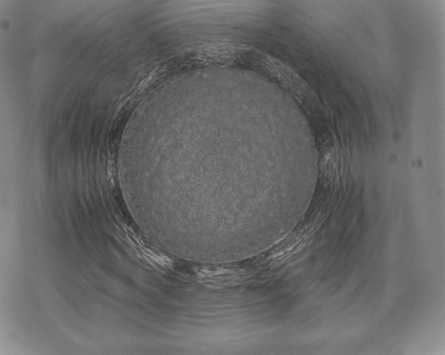 X0000071900772200607071106